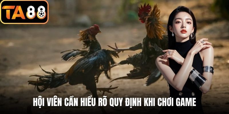Hội viên cần hiểu rõ quy định khi chơi  game